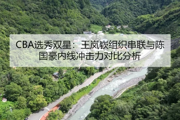 CBA选秀双星：王岚嵚组织串联与陈国豪内线冲击力对比分析
