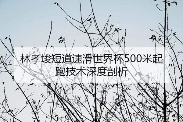 lin-xiao-jun-duan-dao-su-hua-shi-jie-bei-mi-qi-pao-ji-shu-shen-du-pou-xi-2-596.jpg